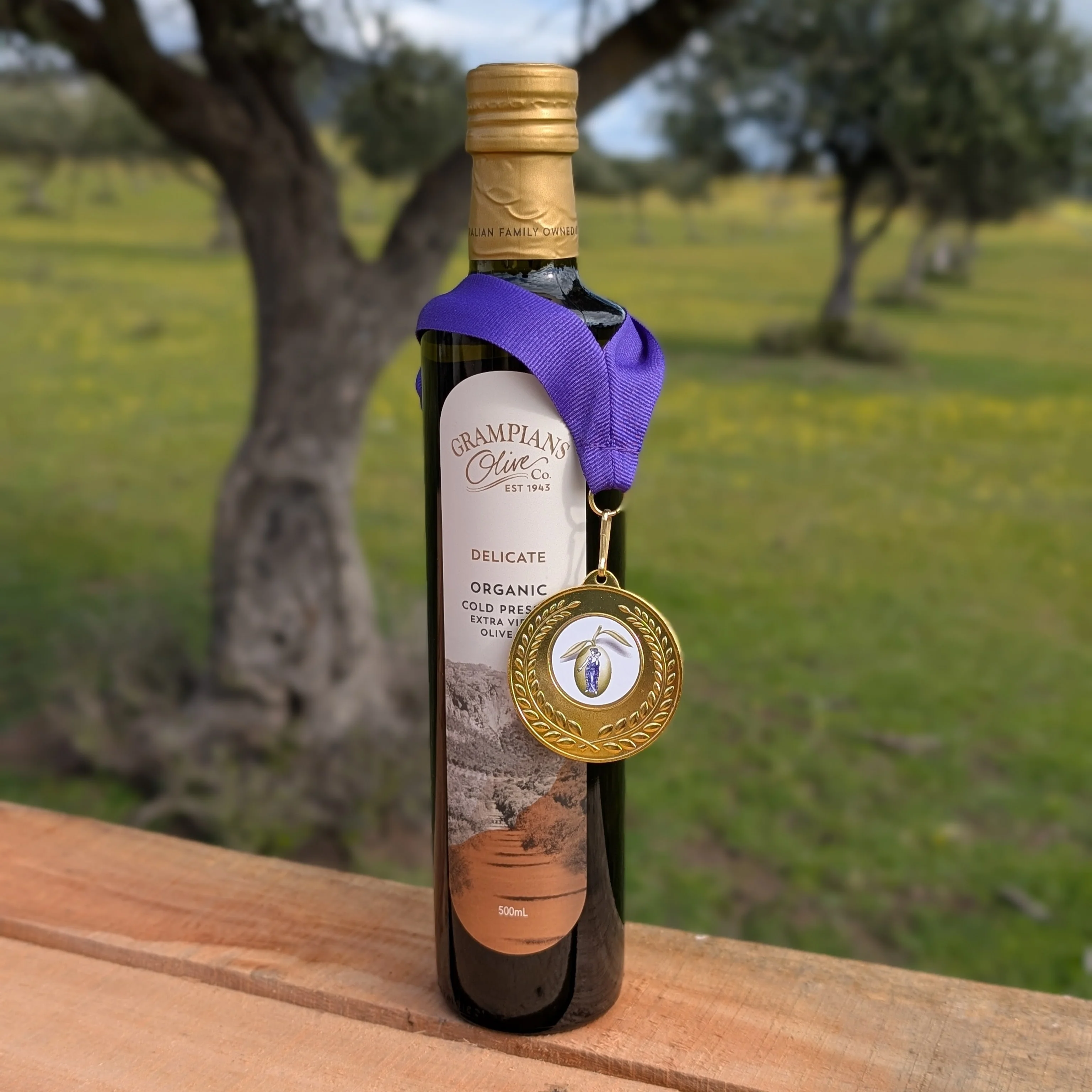 2025 Delicate Organic Extra Virgin Olive Oil (Late Harvest) - Image 7