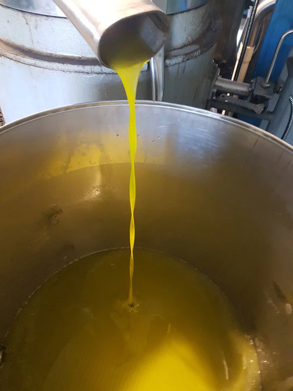 2026 Olio Nuovo Organic Extra Virgin Olive Oil (First Harvest) - Image 3